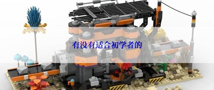 有没有适合初学者的