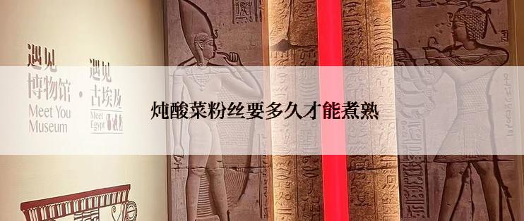  炖酸菜粉丝要多久才能煮熟