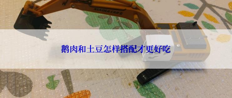 鹅肉和土豆怎样搭配才更好吃