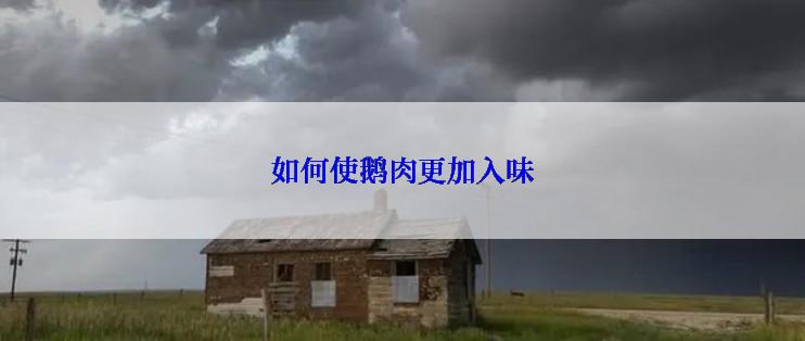 如何使鹅肉更加入味