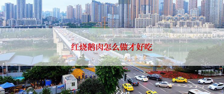 红烧鹅肉怎么做才好吃