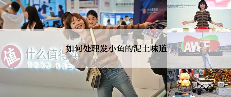  如何处理发小鱼的泥土味道