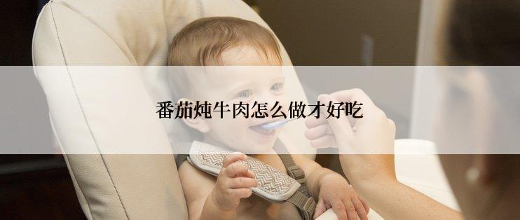 番茄炖牛肉怎么做才好吃