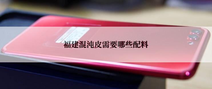 福建混沌皮需要哪些配料