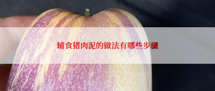 辅食猪肉泥的做法有哪些步骤