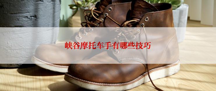 峡谷摩托车手有哪些技巧