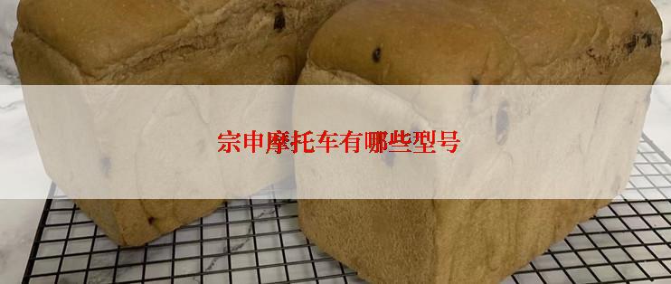 宗申摩托车有哪些型号