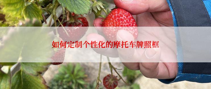 如何定制个性化的摩托车牌照框