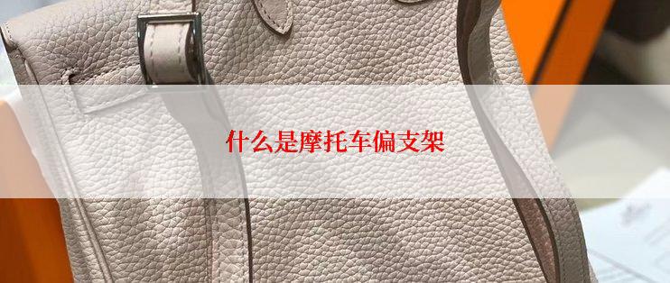 什么是摩托车偏支架