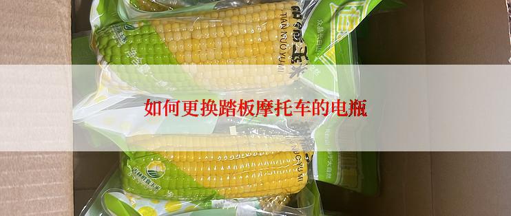 如何更换踏板摩托车的电瓶