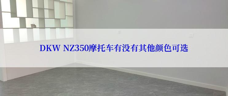 DKW NZ350摩托车有没有其他颜色可选