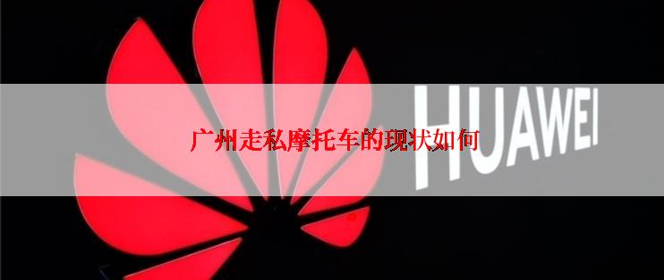  广州走私摩托车的现状如何