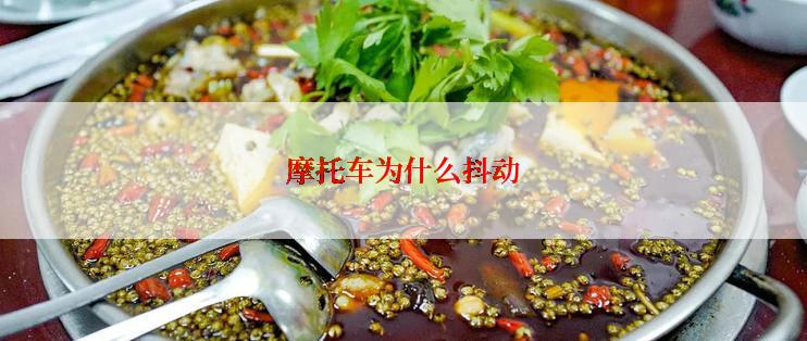 摩托车为什么抖动