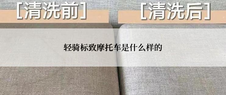 轻骑标致摩托车是什么样的