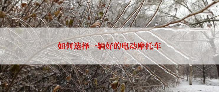 如何选择一辆好的电动摩托车