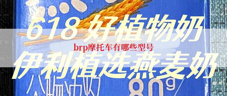 brp摩托车有哪些型号