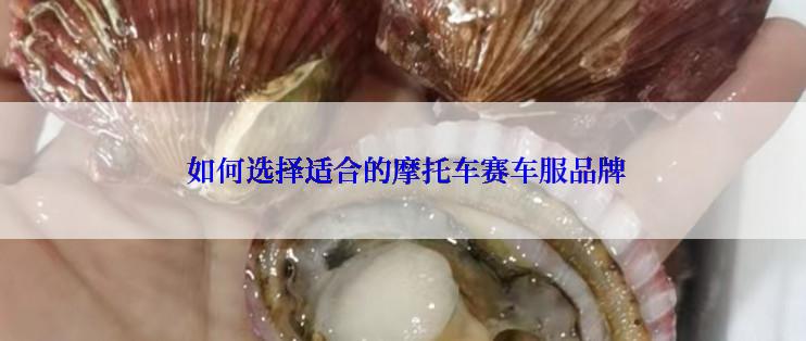  如何选择适合的摩托车赛车服品牌