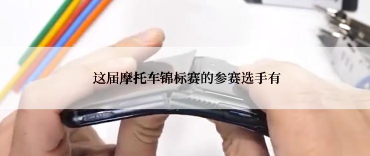  这届摩托车锦标赛的参赛选手有