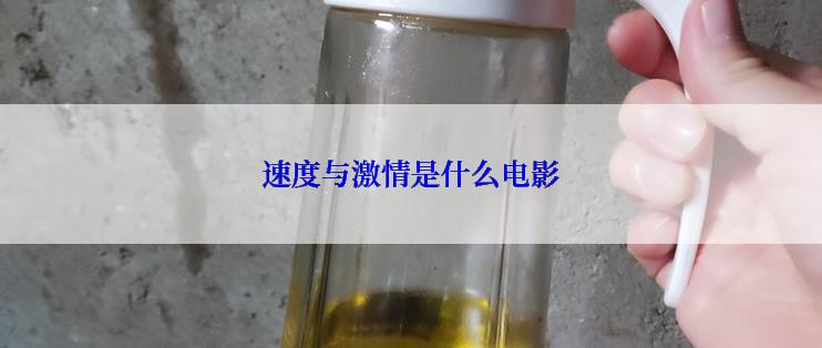 速度与激情是什么电影