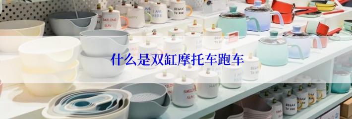  什么是双缸摩托车跑车