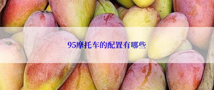 95摩托车的配置有哪些