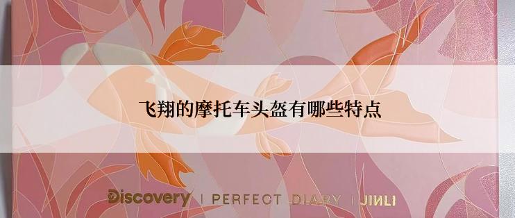  飞翔的摩托车头盔有哪些特点