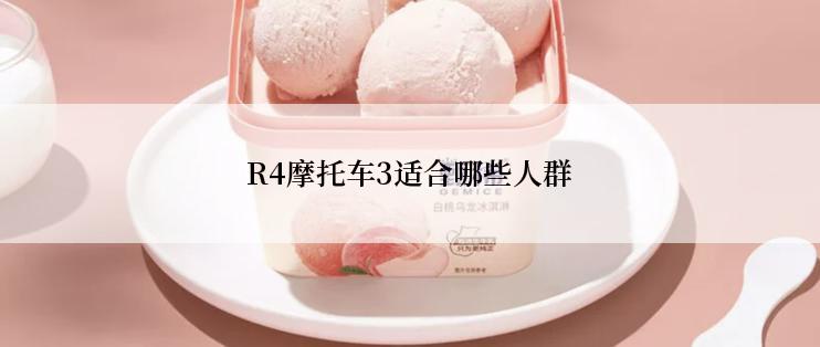 R4摩托车3适合哪些人群