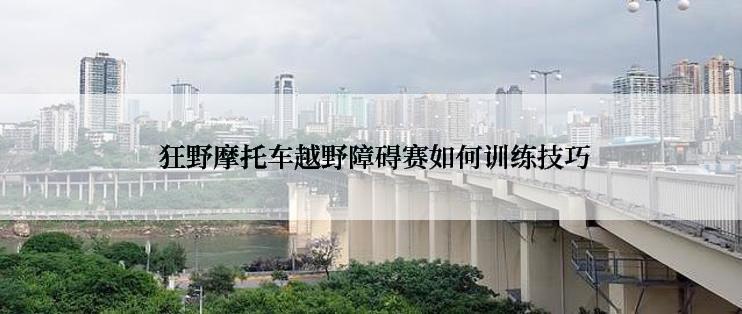  狂野摩托车越野障碍赛如何训练技巧