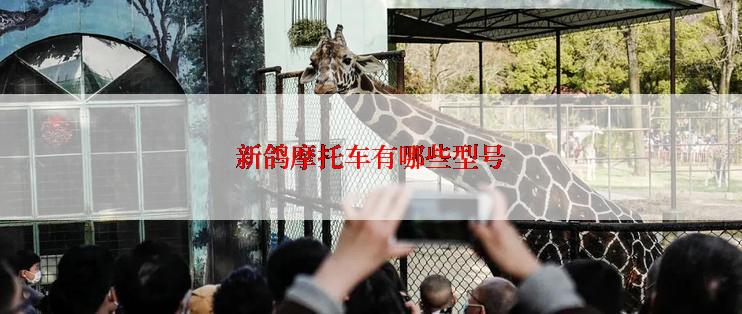 新鸽摩托车有哪些型号