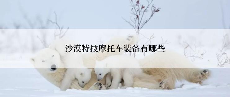 沙漠特技摩托车装备有哪些