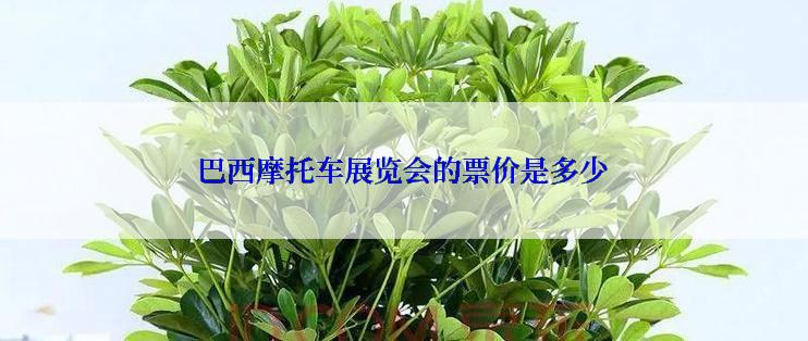 巴西摩托车展览会的票价是多少