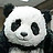 nicolpanda