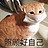 吴鶸