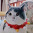 jinnywang